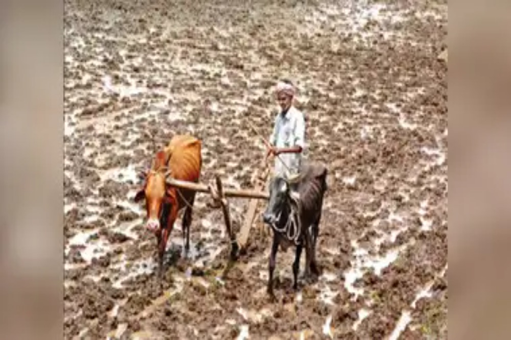 पुढील ५ दिवस दमदार पावसाचा इशारा – शेतकऱ्यांनी पेरणीसाठी सावध राहावे